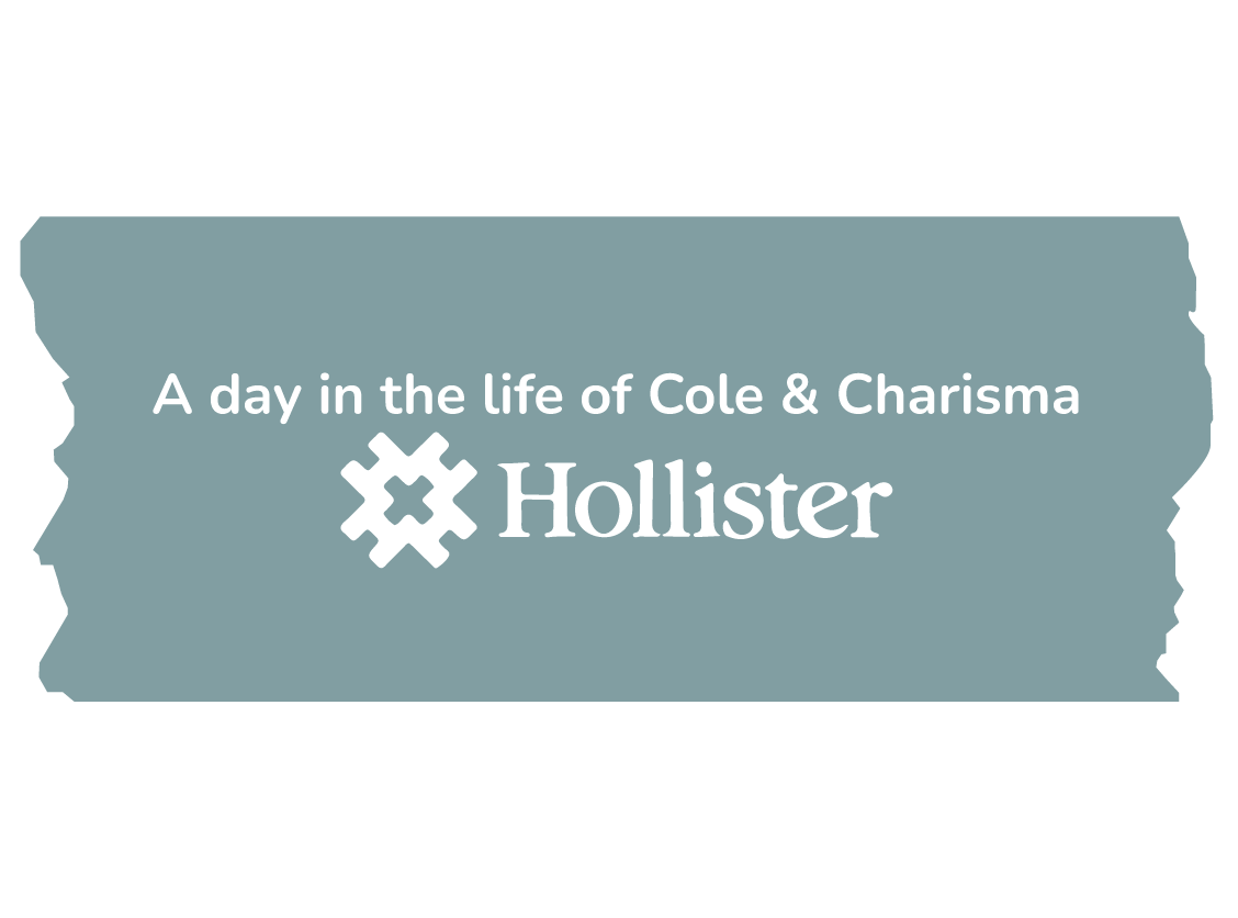 Hollister overlay